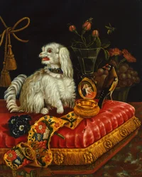 Caniche sur un coussin